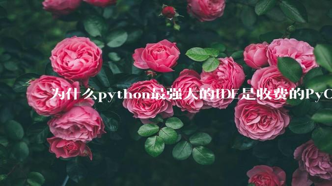 为什么python最强大的IDE是收费的PyCharm?